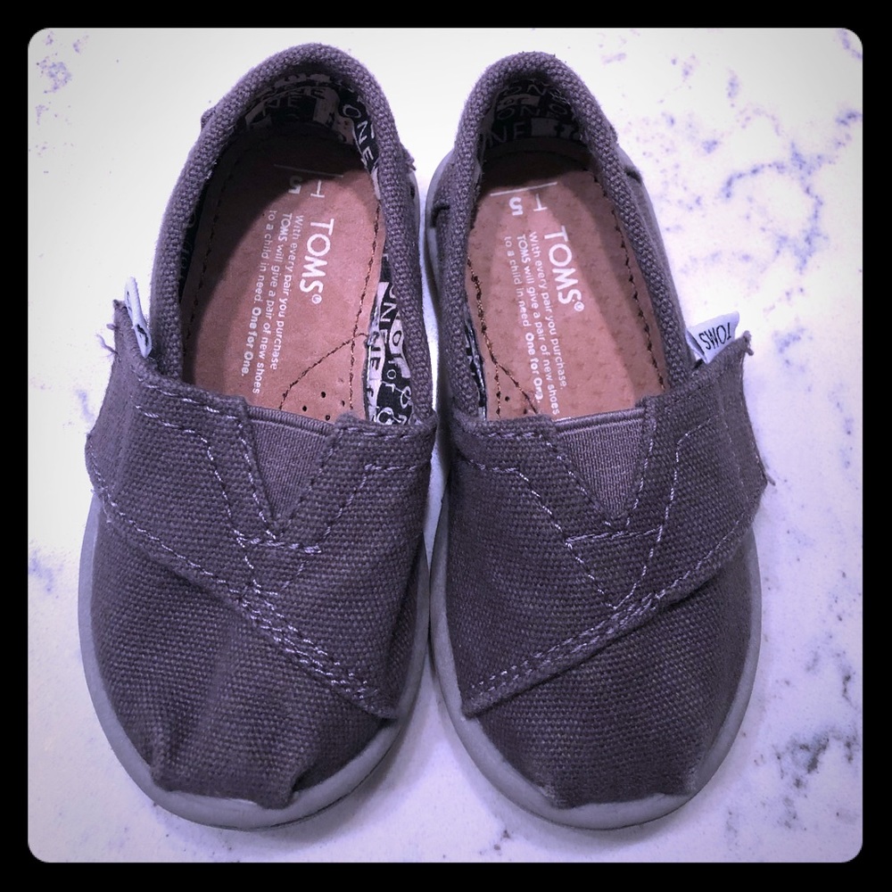 Gray Baby Toms